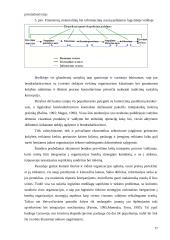 Logistinės veiklos organizavimas 17 puslapis