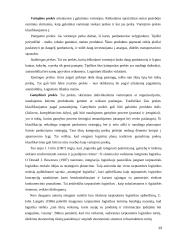 Tarptautinė logistika Lietuvoje 13 puslapis