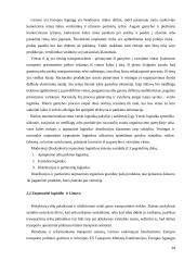 Tarptautinė logistika Lietuvoje 14 puslapis