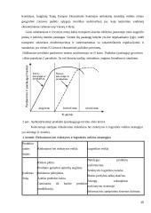 Tarptautinė logistika Lietuvoje 15 puslapis