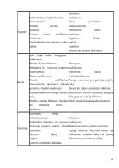 Tarptautinė logistika Lietuvoje 16 puslapis