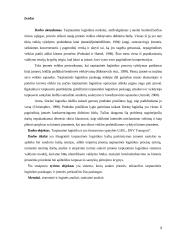 Tarptautinė logistika Lietuvoje 3 puslapis