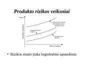 Tarptautinė logistika ir jos formavimo ypatybės UAB „ DSV Transport“  17 puslapis