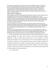 Geležinkelio Lietuva - Anglija privatizavimas 11 puslapis