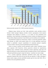 Geležinkelio Lietuva - Anglija privatizavimas 12 puslapis
