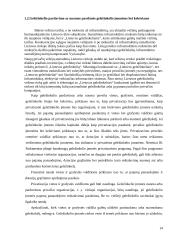 Geležinkelio Lietuva - Anglija privatizavimas 14 puslapis