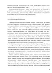 Geležinkelio Lietuva - Anglija privatizavimas 16 puslapis