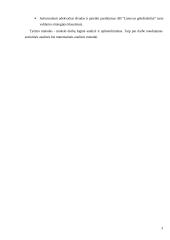 Geležinkelio Lietuva - Anglija privatizavimas 3 puslapis