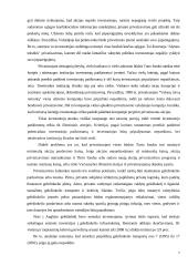 Geležinkelio Lietuva - Anglija privatizavimas 7 puslapis