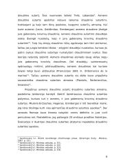 Jūra gabenamų krovinių draudimas. Referatas 6 puslapis