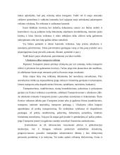 Konsulatvimo poreikis transporto įmonėje 11 puslapis