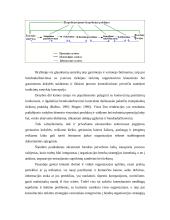 Konsulatvimo poreikis transporto įmonėje 13 puslapis