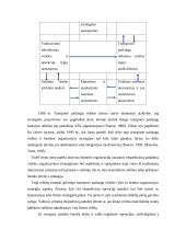 Konsulatvimo poreikis transporto įmonėje 15 puslapis