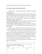 Konsulatvimo poreikis transporto įmonėje 17 puslapis