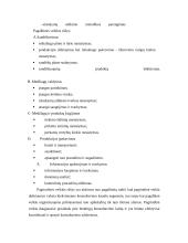 Konsulatvimo poreikis transporto įmonėje 3 puslapis