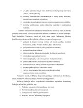 Konsulatvimo poreikis transporto įmonėje 6 puslapis