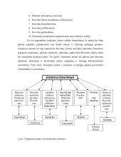 Konsulatvimo poreikis transporto įmonėje 7 puslapis
