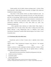 Konsulatvimo poreikis transporto įmonėje 8 puslapis