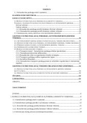 Konsultavimo paslaugų poreikis autotransporto įmonėse 2 puslapis