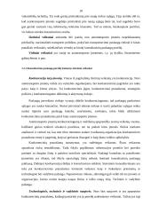 Konsultavimo paslaugų poreikis autotransporto įmonėse 13 puslapis