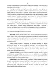 Konsultavimo paslaugų poreikis autotransporto įmonėse 15 puslapis