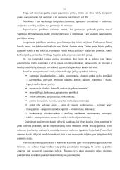 Konsultavimo paslaugų poreikis autotransporto įmonėse 17 puslapis