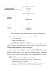 Konsultavimo paslaugų poreikis autotransporto įmonėse 19 puslapis