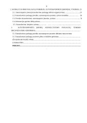 Konsultavimo paslaugų poreikis autotransporto įmonėse 3 puslapis