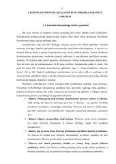 Konsultavimo paslaugų poreikis autotransporto įmonėse 6 puslapis