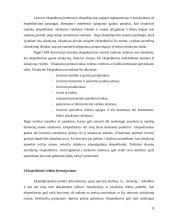 Krovinių ekspedijavimo šalių teisės ir pareigos. Referatas 8 puslapis