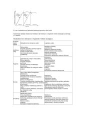 Logistika ir sandėliavimas. Konspektas 3 puslapis