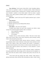 Logistikos įmonės veiklos analizė. Referatas 2 puslapis