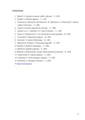 Logistikos įmonės veiklos analizė. Referatas 20 puslapis