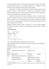 Logistikos proceso optimizavimas 11 puslapis