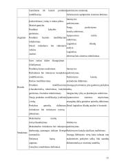 Logistikos proceso optimizavimas 12 puslapis