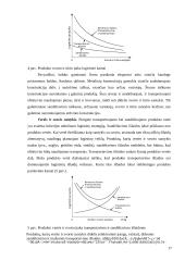 Logistikos proceso optimizavimas 17 puslapis