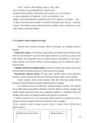 Logistikos proceso optimizavimas 20 puslapis