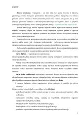 Logistikos proceso optimizavimas 3 puslapis