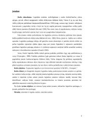 Tarptautinė logistika ir jos formavimosi ypatybės "UAB DVS Transport" 2 puslapis