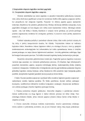 Tarptautinė logistika ir jos formavimosi ypatybės "UAB DVS Transport" 3 puslapis