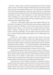 Tarptautinė logistika ir jos formavimosi ypatybės "UAB DVS Transport" 7 puslapis