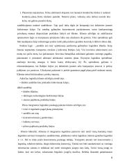 Tarptautinė logistika ir jos formavimosi ypatybės "UAB DVS Transport" 9 puslapis