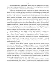 Logistinės veiklos analizė 12 puslapis