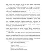 Logistinės veiklos analizė 7 puslapis