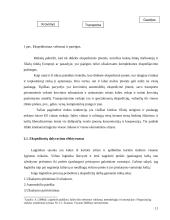 Tarptautinis krovinių pervežimas geležinkeliais 11 puslapis