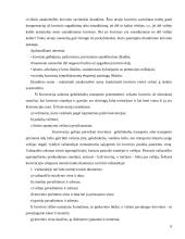 Tarptautinis krovinių pervežimas geležinkeliais 6 puslapis