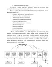 Tarptautinis krovinių pervežimas geležinkeliais 10 puslapis