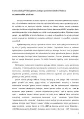 Tarptautinės prekybos transporto vertinimas  3 puslapis