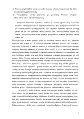 Tarptautinės prekybos transporto vertinimas  7 puslapis