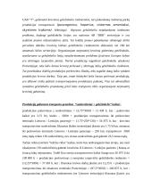 Tiekimo technologinės sistemos 11 puslapis